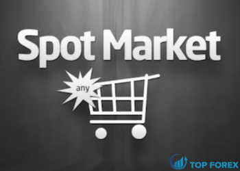 Spot Market là gì và hoạt động như thế nào?