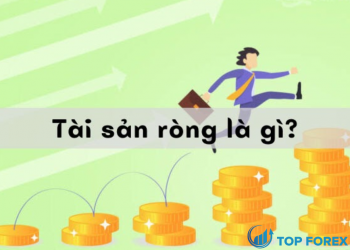 Tài sản ròng gì? Cách tính tài sản ròng đơn giản mà bạn chưa biết