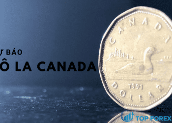 Dự báo kỹ thuật đô la Canada: USD / CAD tăng giá