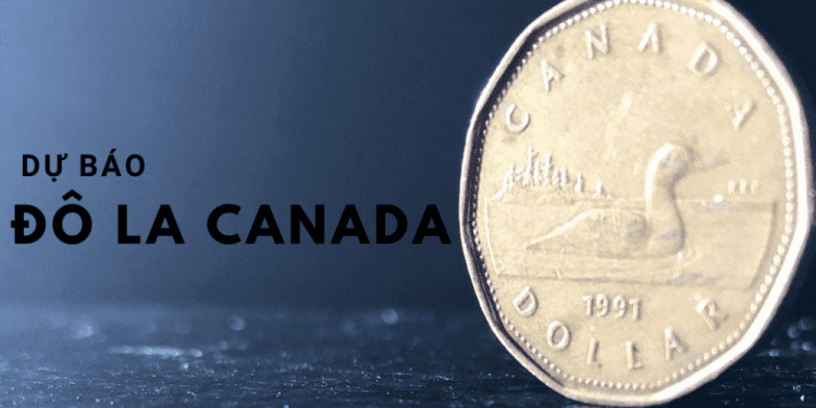 Dự báo kỹ thuật đô la Canada: USD / CAD tăng giá