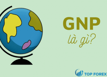 GNP là gì Tại sao nó lại quan trọng