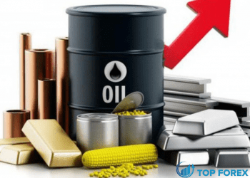 Giá dầu mở cao hơn do EU cấm dầu Nga, kết thúc khóa cửa Thượng Hải