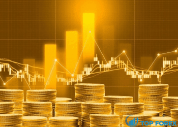 Sàn vàng Việt Nam hợp pháp không? Mẹo chọn sàn vàng uy tín