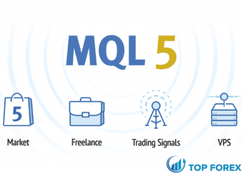 Hướng dẫn bán tín hiệu trên MQL5 chi tiết nhất