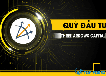 Những kiến thức cơ bản về Three Arrows Capital là gì