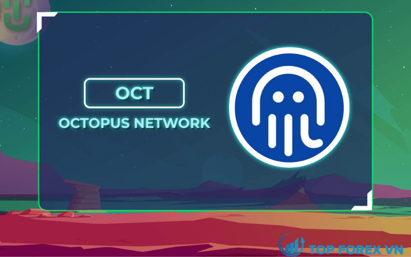 Thông tin cơ bản về Octopus Network (OCT) là gì?