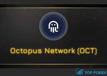 Octopus Network (OCT) là gì Thông tin chi tiết về token OCT