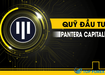 Pantera Capital là gì Chi tiết về các dự án nổi bật