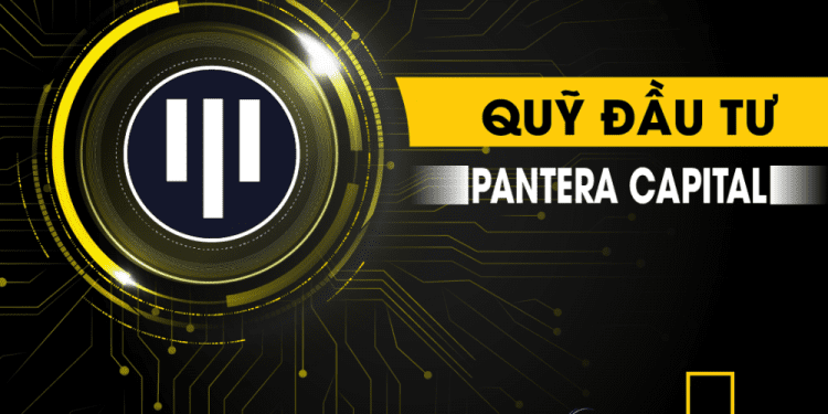 Pantera Capital là gì Chi tiết về các dự án nổi bật