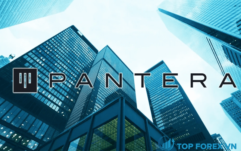 Tiềm năng trong tương lai của quỹ đầu tư Pantera Capital là gì