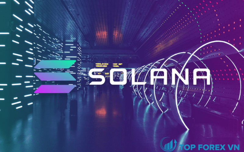 Dự án đầu tư Delphi Ventures là gì - Solana