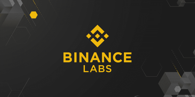 Tổng quan danh mục đầu tư của quỹ Binance Labs
