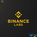 Tổng quan danh mục đầu tư của quỹ Binance Labs