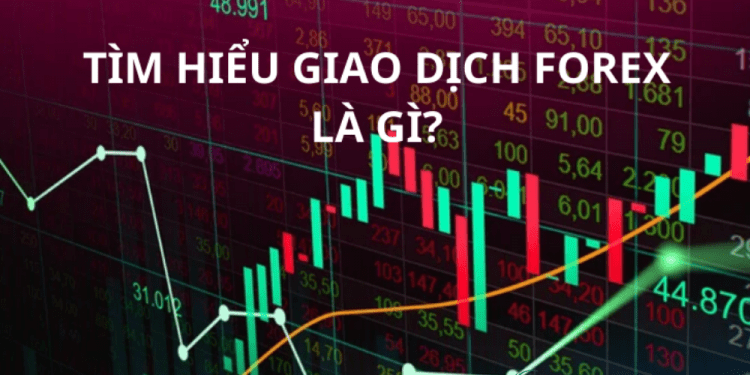 Bí quyết giao dịch forex thành công cho người mới bắt đầu