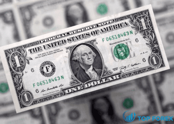 Đồng đô la tạm dừng đà tăng trên diện rộng