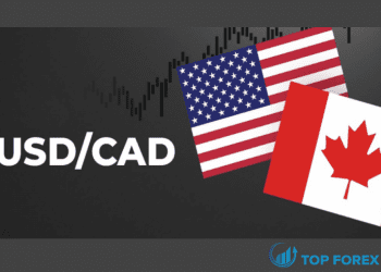 Đồng Đô la Canada đã rơi tự do so với Đô la Mỹ trong nhiều tuần nay với việc USD / CAD phục hồi thông qua mức kháng cự kỹ thuật quan trọng đối với mức cao mới trong nhiều năm.