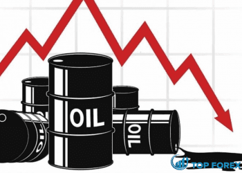 Giá dầu giảm do lạm phát Jitters bù lại các điểm cầu tích cực
