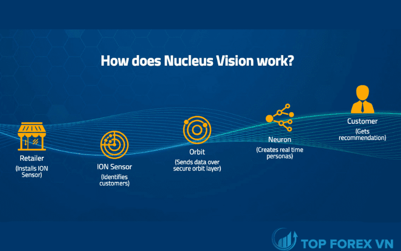 Cách thức hoạt động của Nucleus Vision là gì
