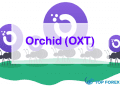 OXT Coin là gì Có nên đầu tư vào OXT Coin không