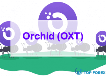 OXT Coin là gì Có nên đầu tư vào OXT Coin không