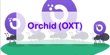 OXT Coin là gì Có nên đầu tư vào OXT Coin không