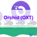 OXT Coin là gì Có nên đầu tư vào OXT Coin không