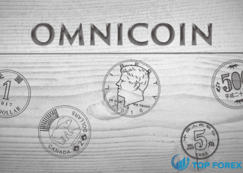 Omni Coin là gì Điều cơ bản về đầu tư Omni Coin bạn phải biết