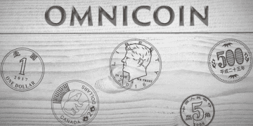 Omni Coin là gì Điều cơ bản về đầu tư Omni Coin bạn phải biết