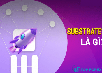 Substrate là gì Tầm quan trọng của Substrate đối với Polkadot