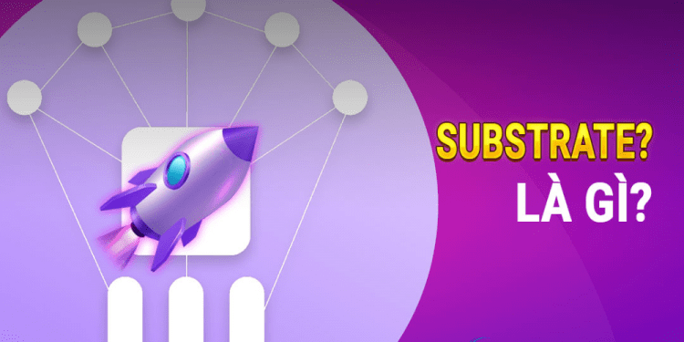 Substrate là gì Tầm quan trọng của Substrate đối với Polkadot