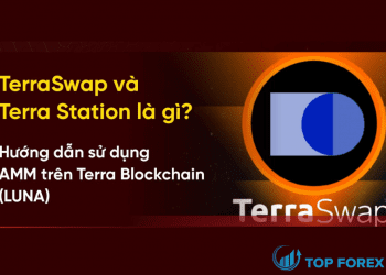 Terra Station là gì Cách sử dụng AMM trên Terra Blockchain