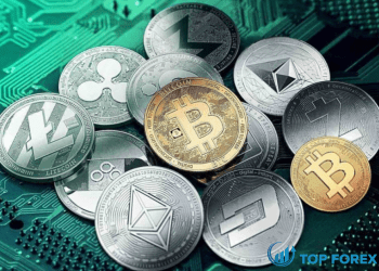 Dự báo giá tiền điện tử Solana, Shiba Inu & Crypt.com