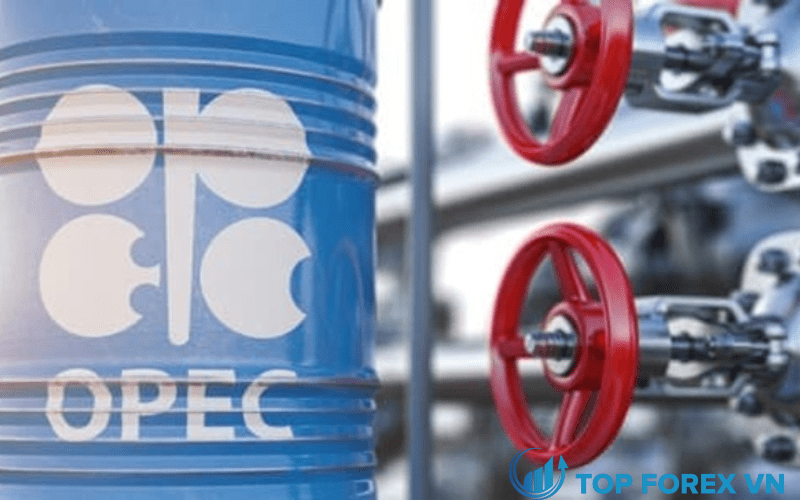 Giá dầu tiếp tục chìm xuống do COVID Jitters của Trung Quốc
