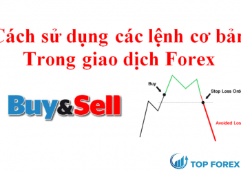 Hướng dẫn cách đặt lệnh Forex trên điện thoại