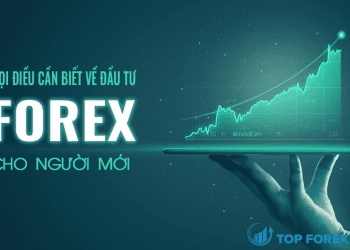 Hướng dẫn đầu tư Forex cho người mới bắt đầu