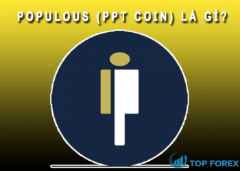 PPT Coin là gì Những điều bạn cần biết về chúng