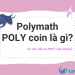 Polymath là gì? Thông tin chi tiết về POLY Coin