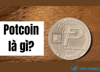 PotCoin là gì Tiềm năng đồng POT ra sao