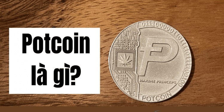 PotCoin là gì Tiềm năng đồng POT ra sao
