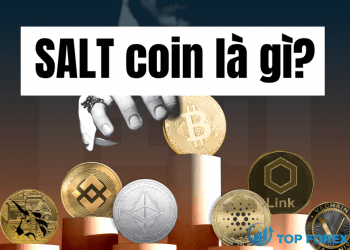 SALT Coin là gì Đáng để đầu tư hay không