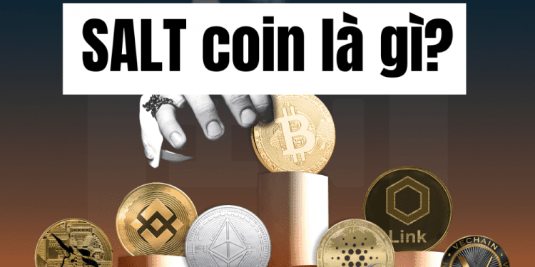 SALT Coin là gì Đáng để đầu tư hay không