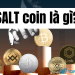 SALT Coin là gì Đáng để đầu tư hay không