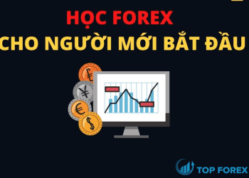 Tổng hợp các kiến thức Forex cơ bản cho người mới