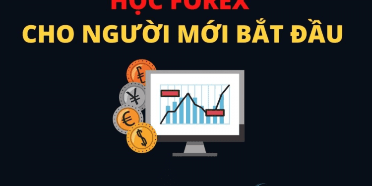 Tổng hợp các kiến thức Forex cơ bản cho người mới