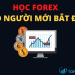 Tổng hợp các kiến thức Forex cơ bản cho người mới