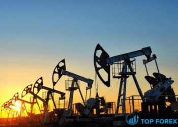 Dự báo giá dầu WTI phục hồi từ tháng 11 đến 90 chờ đợi