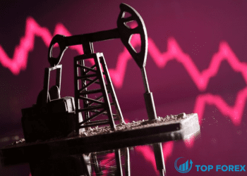 Giá dầu giảm lỗ khi OPEC tăng Dự báo nhu cầu