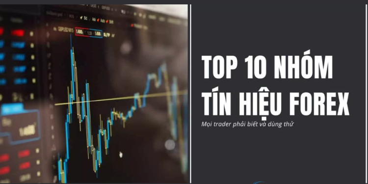10+ nhóm tín hiệu Forex tốt nhất hiện nay
