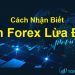 Các dấu hiệu nhận biết sàn Forex lừa đảo cho các Trader mới