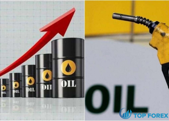 Dầu tăng hơn 2% khi Trung Quốc mở cửa trở lại, OPEC giữ sản lượng ổn định